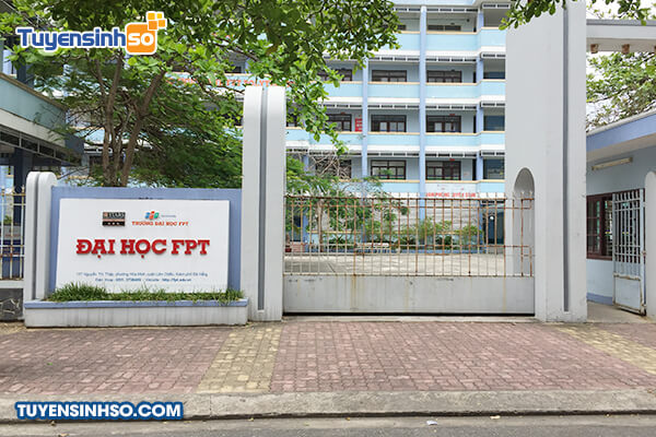 dai hoc fpt gom nhung nganh nao