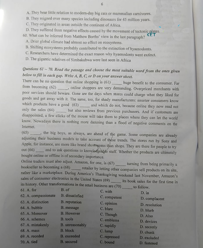 Đề thi vào lớp 10 môn Anh Thanh Hóa 2022 chuyên Lam Sơn