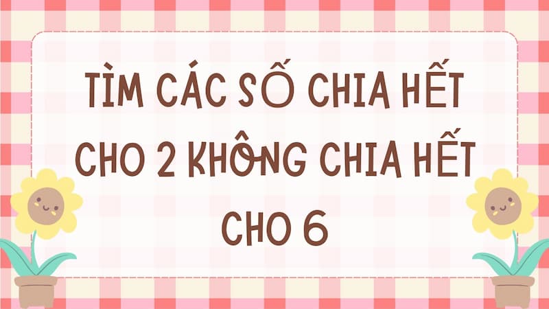Dạng bài tìm các số chia hết cho 2 không chia hết cho 6. (Ảnh: Canva)