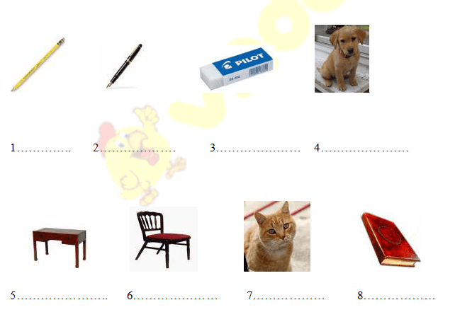 10 đề ôn thi học kì 1 lớp 3 môn Tiếng Anh năm 2020 - 2021