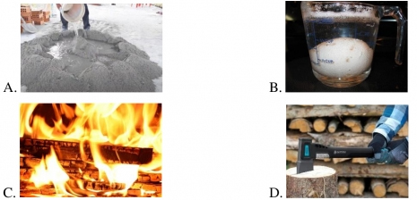 Đề thi Học kì 1 môn Khoa học lớp 5 Chân trời sáng tạo