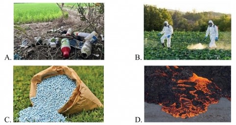 Đề thi Khoa học lớp 5 cuối kì 1 CTST