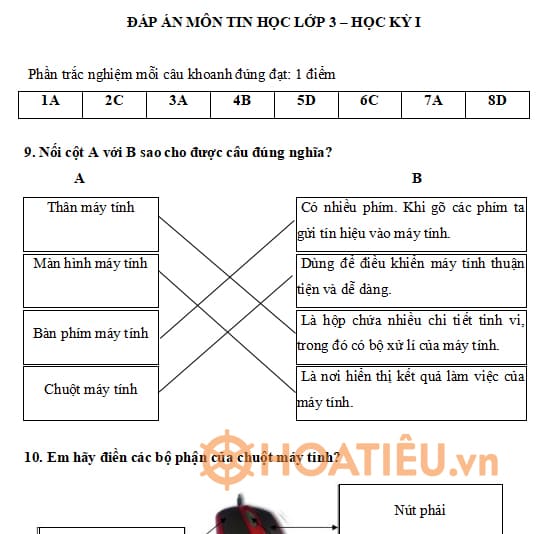 Đáp án đề thi cuối học kì 1 Tin học lớp 3 CTST