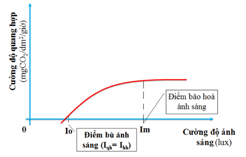 Sử dụng các thông tin trong văn bản sau để trả lời 6 câu hỏi tiếp theo. Cường
