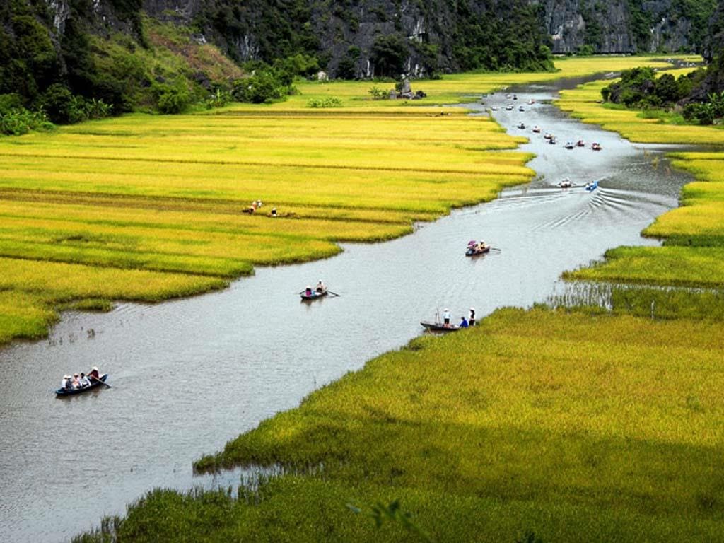 So sánh đồng bằng sông Hồng và đồng bằng sông Cửu Long?
