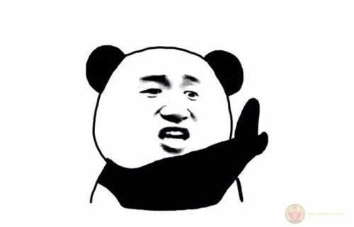 Meme gấu trúc ngạc nhiên