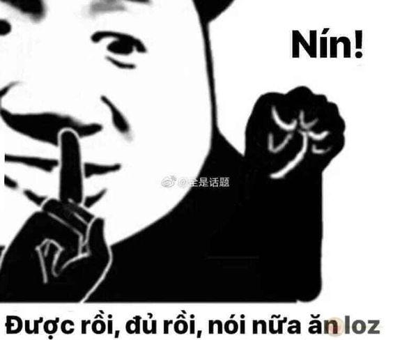 Meme gấu hài hước