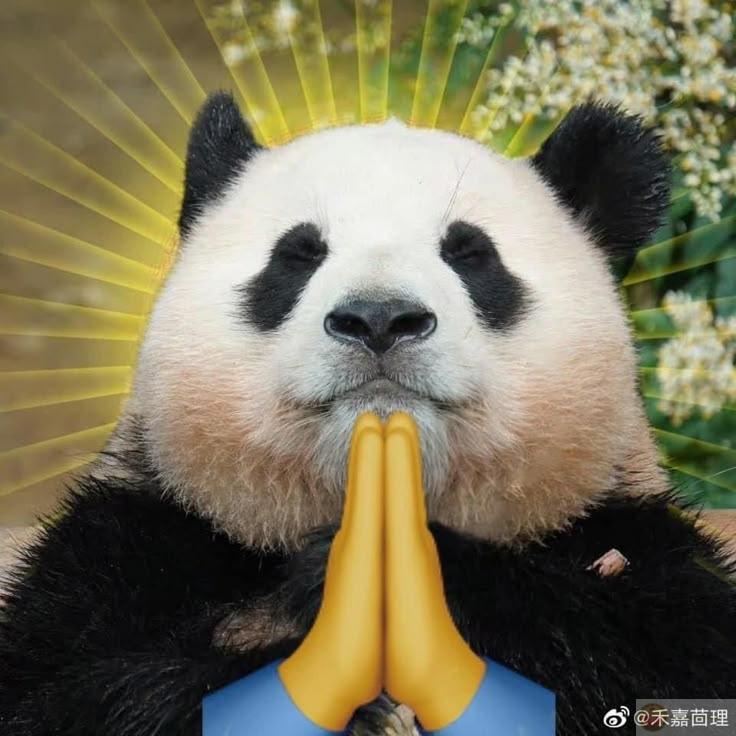 Một chiếc caption không buồn nhưng làm người ta suy