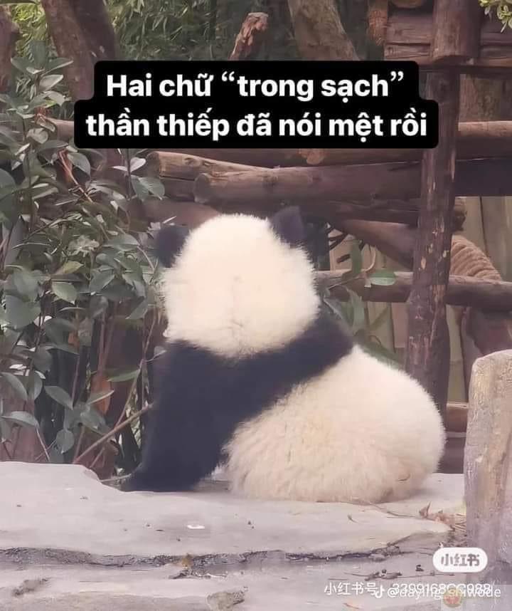 Một cái ôm nhẹ nhàng còn hơn ngàn lời xin lỗi