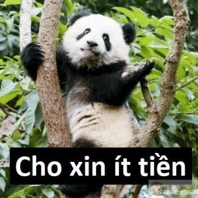 Tâm trạng hôm nay: chỉ muốn nằm ôm gối khóc nhẹ