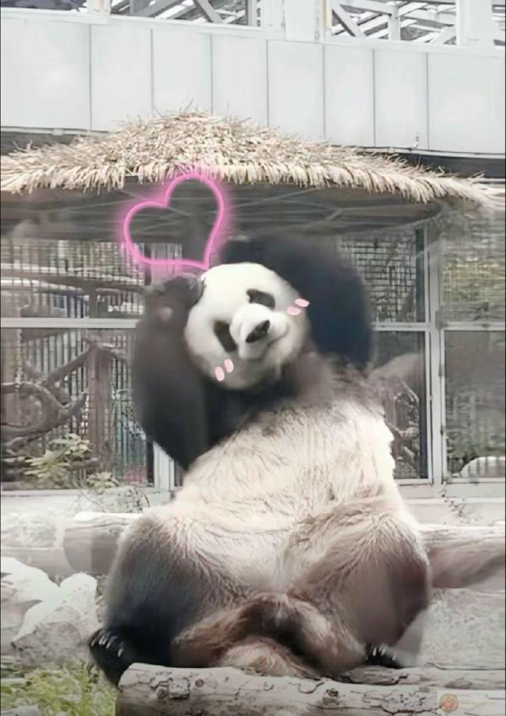 Tui chỉ cần sự bình yên không cần lời giải thích