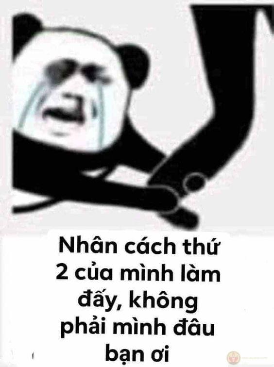 Nói nữa là tui chém á, không nói chơi đâu