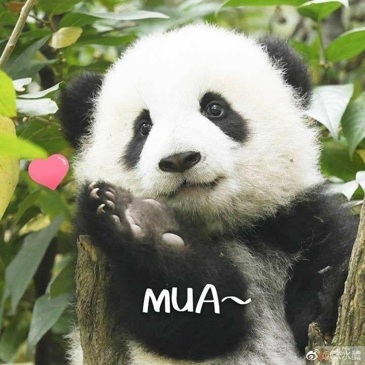 Nhìn tui dịu dàng vậy thôi chứ sát thương cao lắm