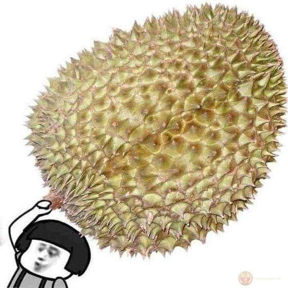 Tui đang vui, đừng troll kẻo mất mạng oan