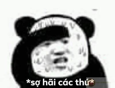 Cảm ơn đời mỗi sớm mai cho gấu trúc... sống sót