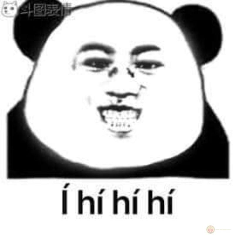 Càng ngố lại càng đáng yêu, như meme gấu trúc