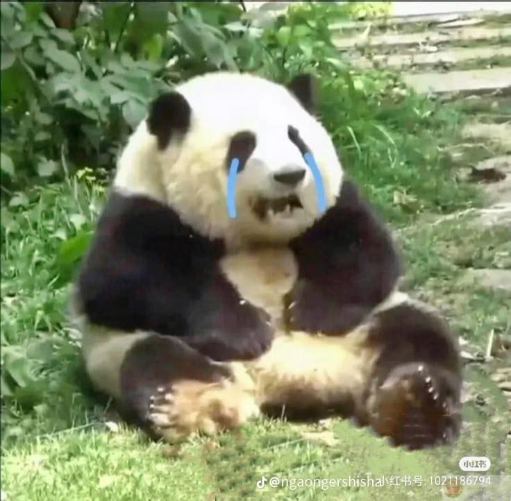 Có đồ ăn là hết giận, đơn giản vậy thôi