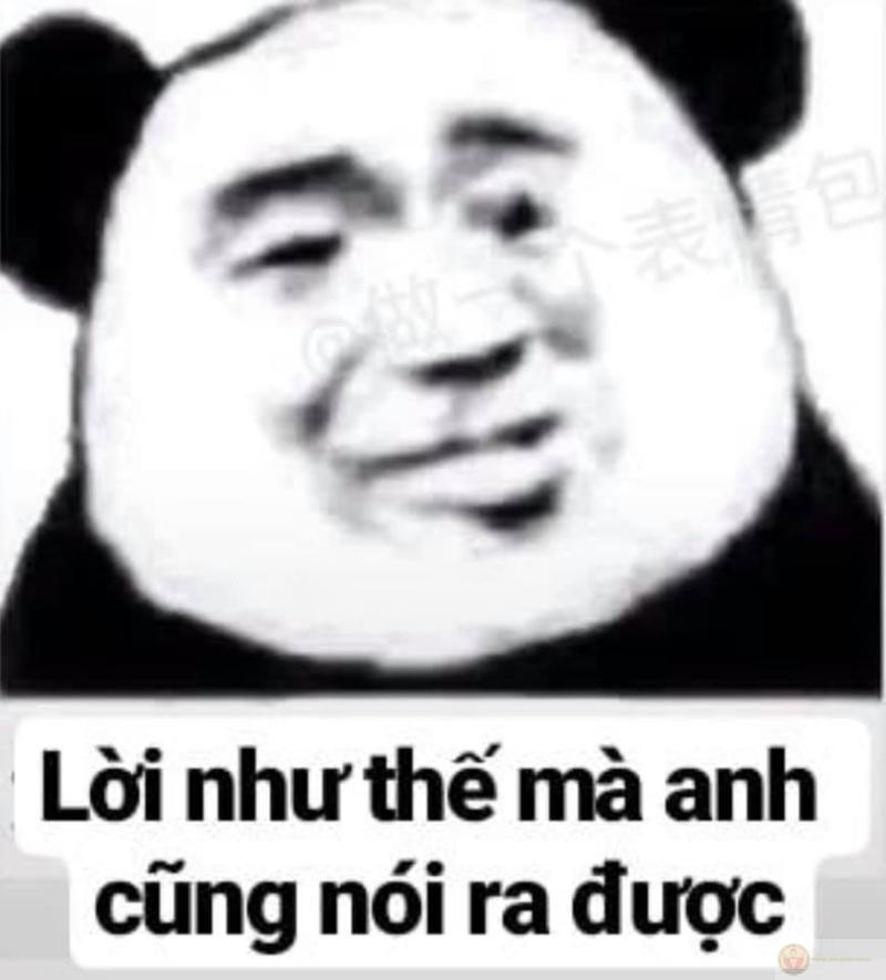 Gấu trúc cười mỉm, trong lòng đang viết kịch bản