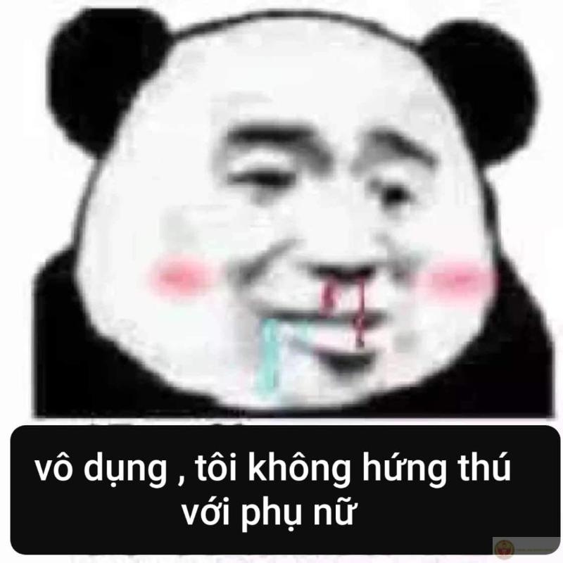 Đừng chạm vào tâm trạng của gấu trúc hôm nay