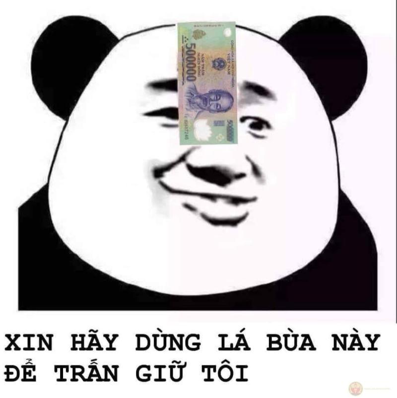 Gấu trúc không thích hơn thua, nhưng không chịu thua