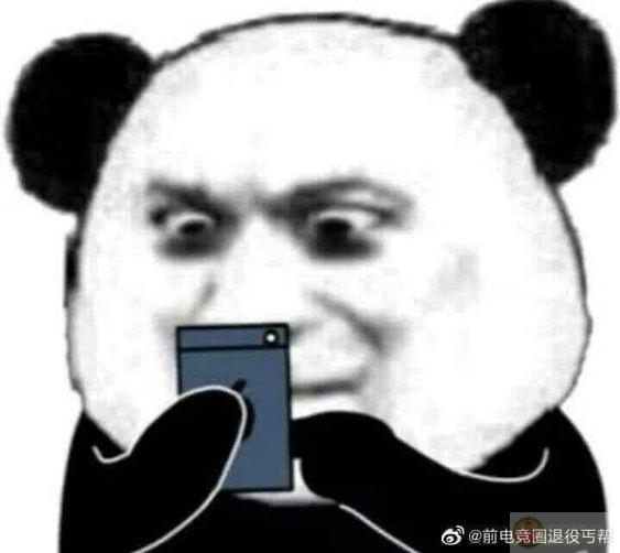 Gấu trúc không đánh, nhưng ánh nhìn mang tính đe dọa