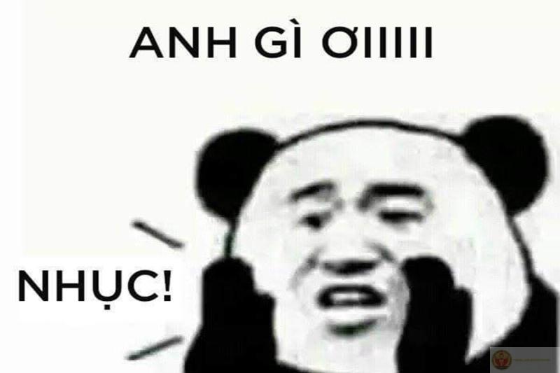 Gấu trúc không cần vỗ về, chỉ cần vỗ tay thôi