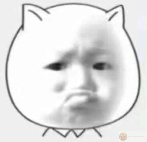 Gấu trúc ngủ ba giây là hết giận liền luôn