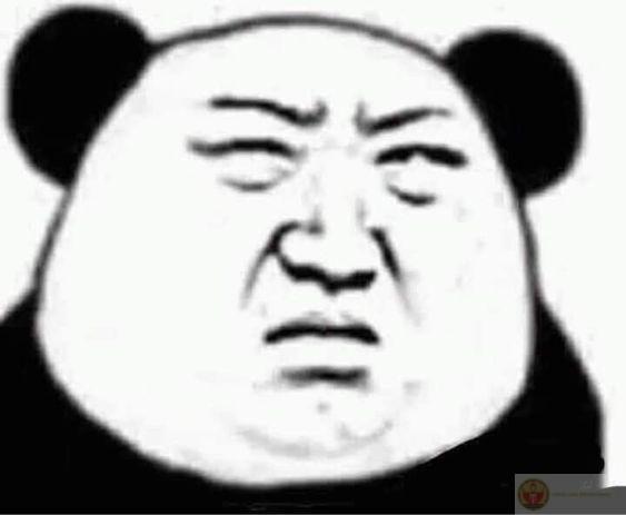 Meme gấu trúc bựa