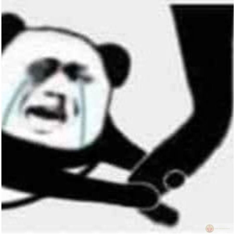 Meme gấu trúc hài hước