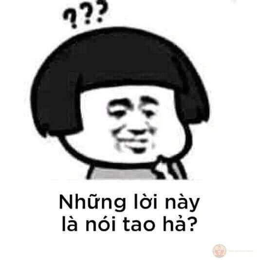 Meme gấu trúc cảm ơn