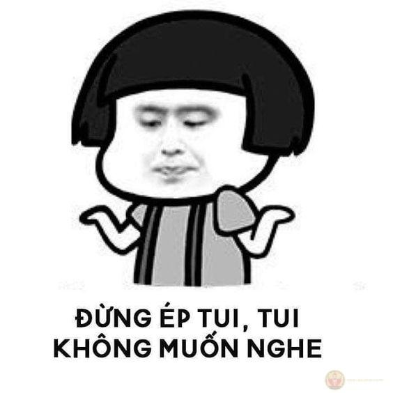 Meme gấu trúc dễ thương