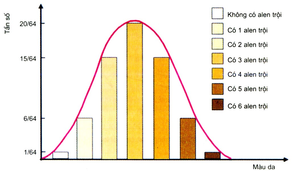 Tương tác gen và tác động đa hiệu của gen Sách giáo khoa Sinh học 12</>