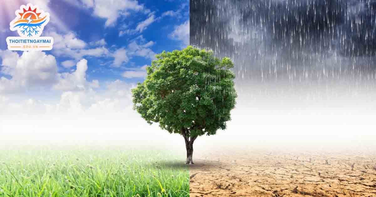 Ảnh hưởng hướng gió chình vào mùa hạ ở Việt Nam 