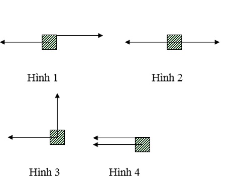 hai luc can bang la gi 3