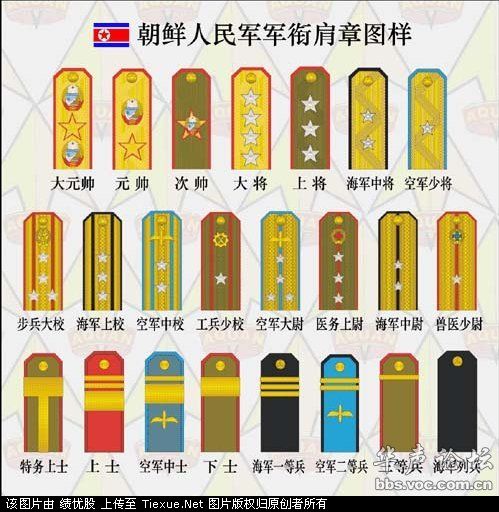 ham trong quan doi 2