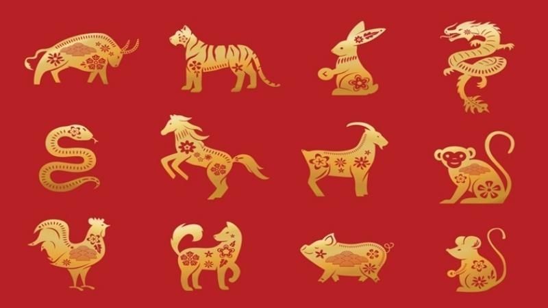 hinh nen 12 con giap chien binh