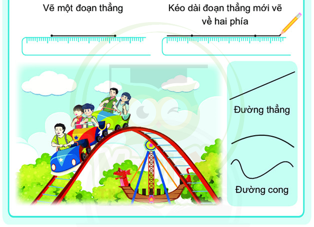 mathx đường thẳng đường cong khái niệm