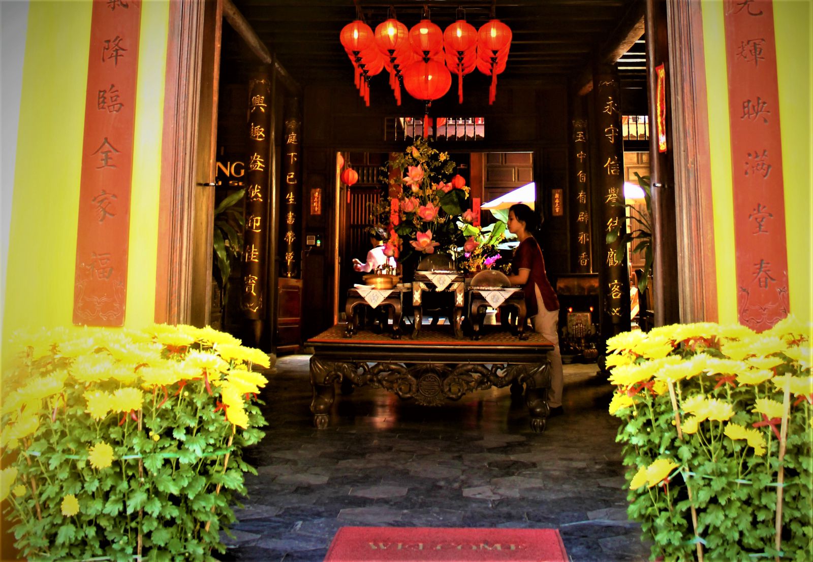 hoa dao no nhu 2