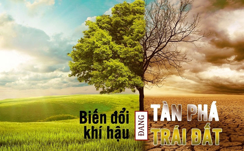 biến đổi khí hậu là gì