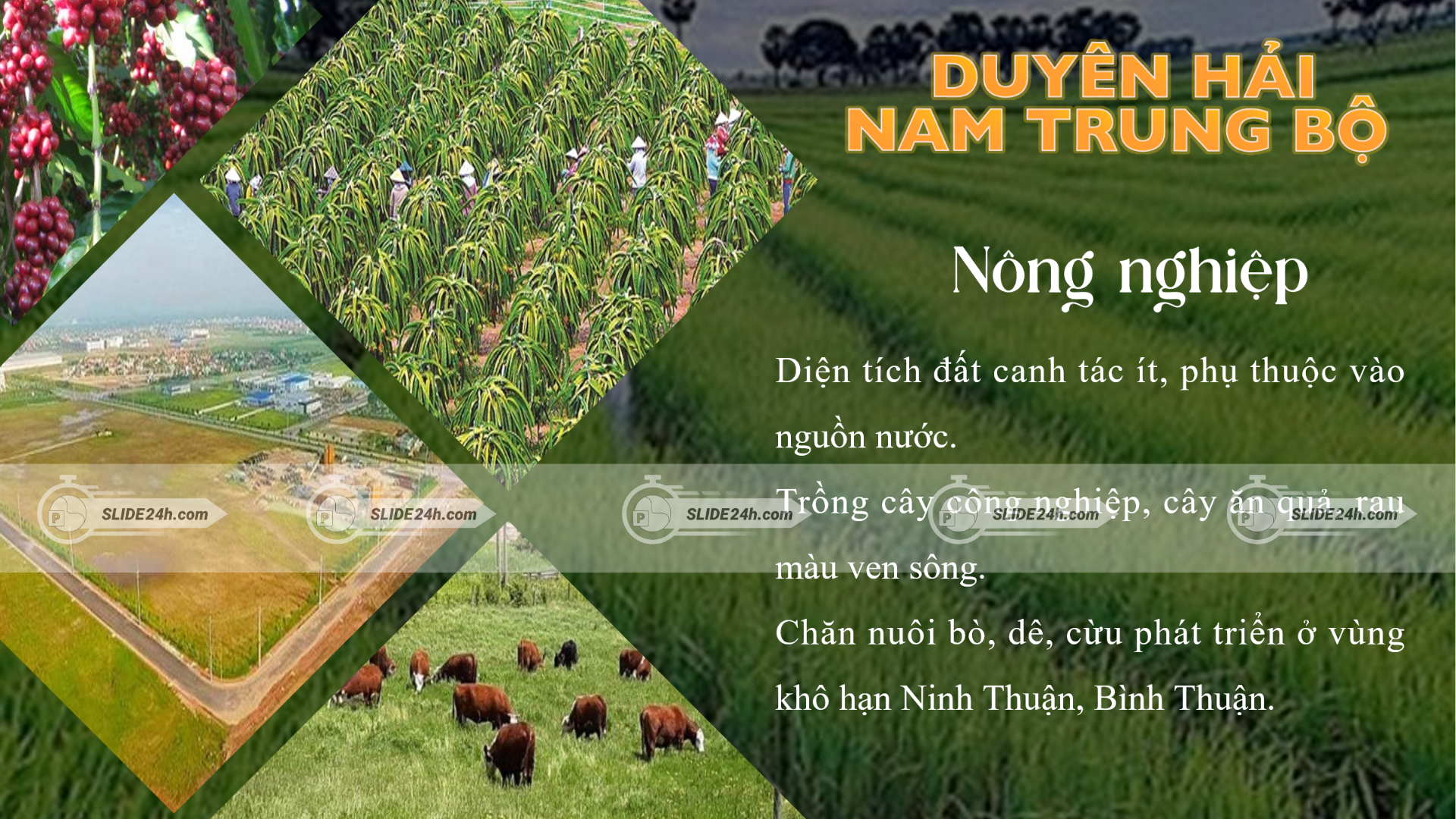 nông nghiệp