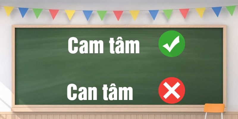 Cam tâm hay can tâm