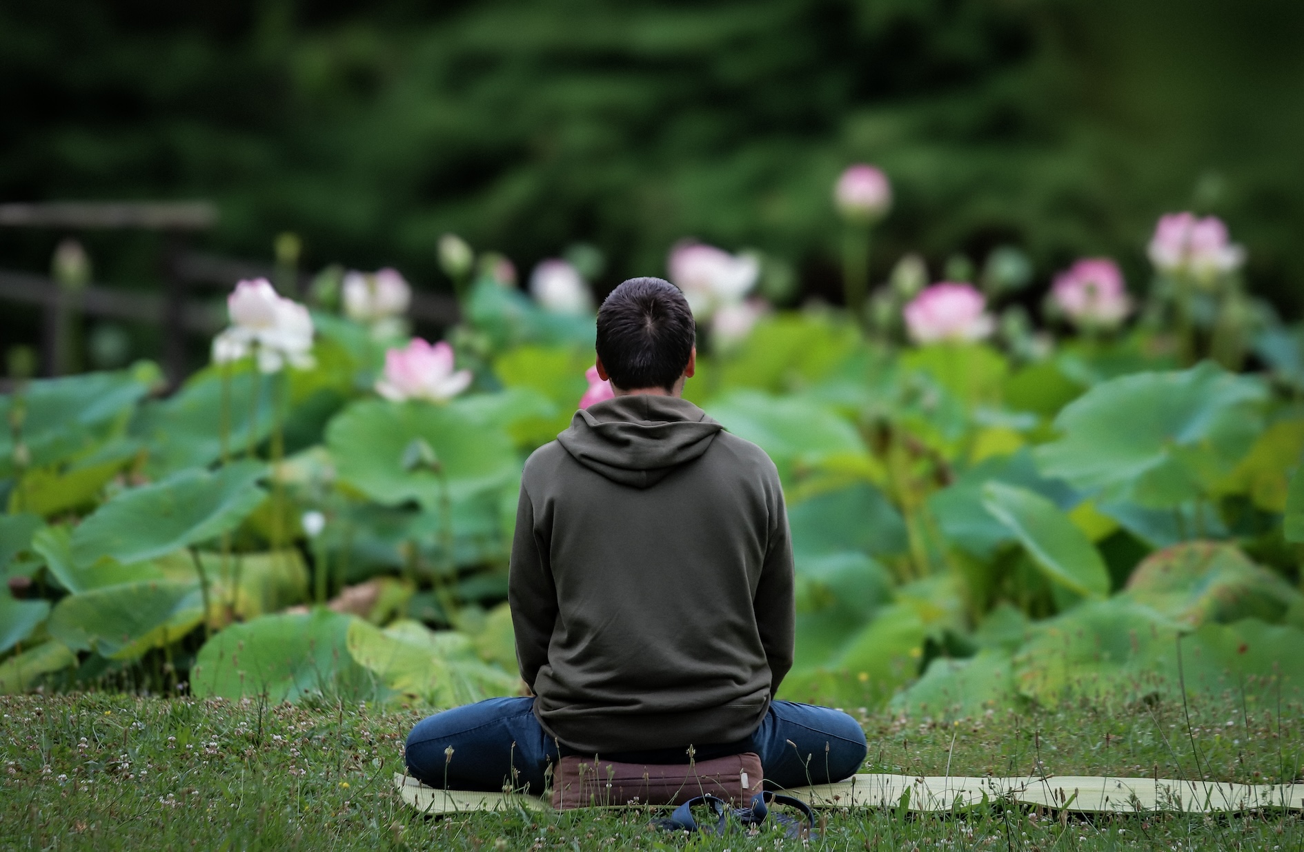 lam bien hay lam bieng