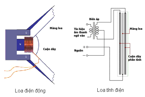 loa dien hoat dong dua vao