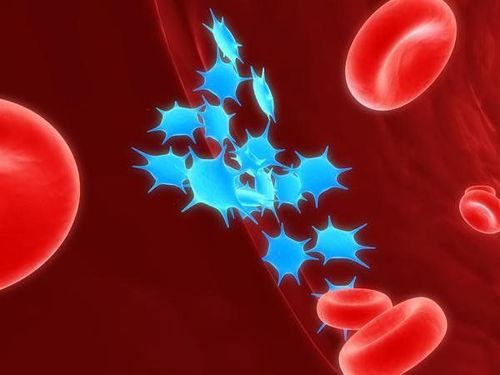 Tiểu cầu có 3 chức năng chính là dính, ngưng tập và chế tiết