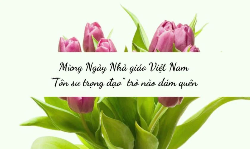 Ý nghĩa của những lời ngỏ 20/11