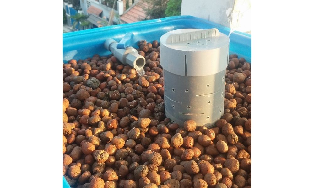 Cách dùng đất sét trồng cây