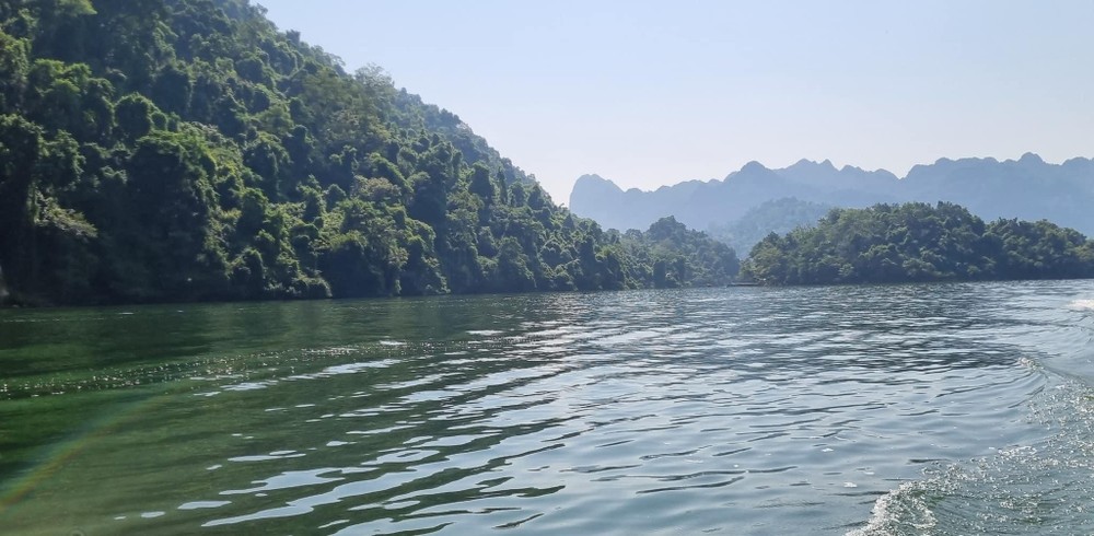 Hồ Ba Bể được thiên nhiên ưu ái ban tặng thảm thực vật đa dạng, phong phú.