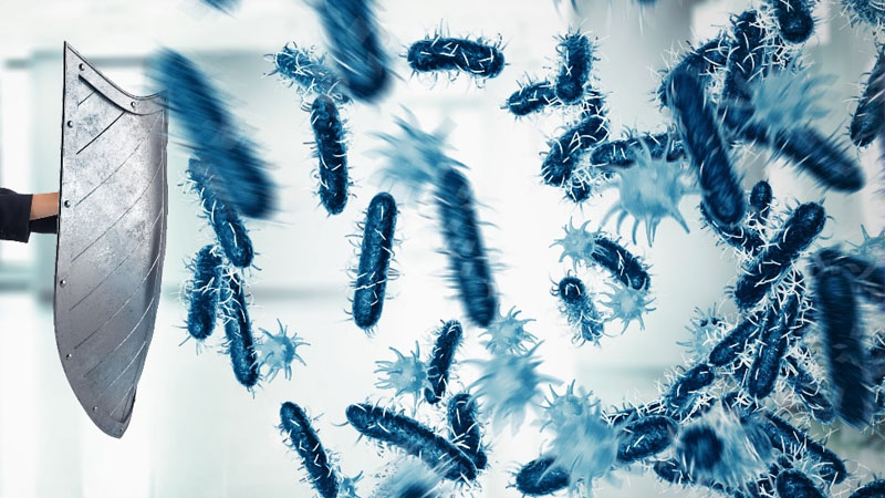 Menthol có đặc tính kháng khuẩn và kháng nấm