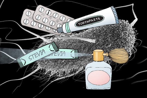 moi truong song cua vi khuan 11