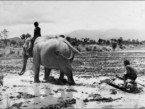 neu noi dung bao quat cua van ban di san mat dat